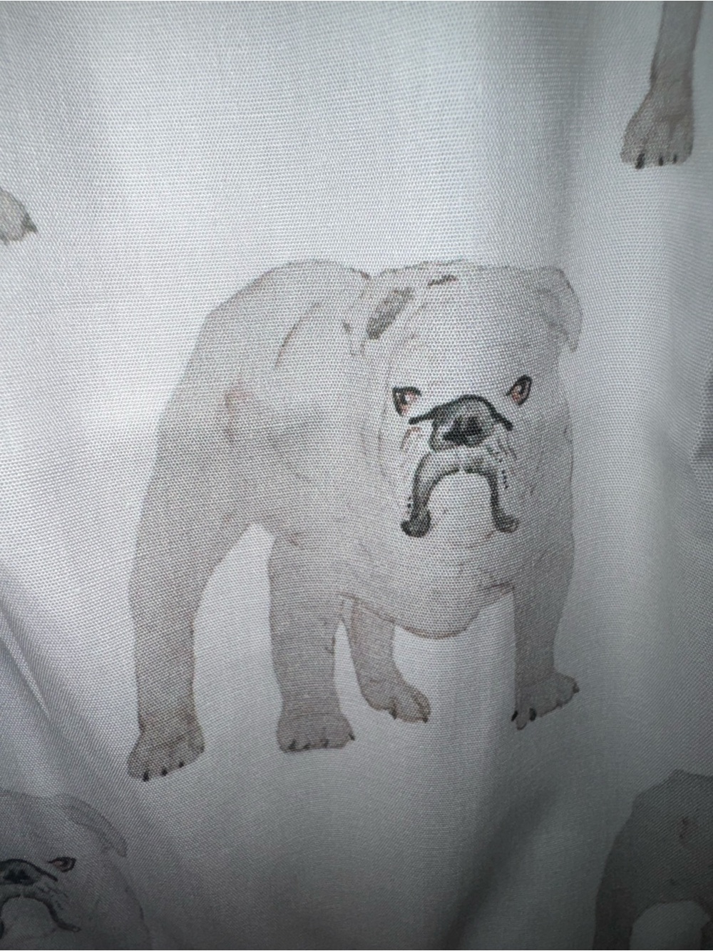 Brooke Wright White Bulldog-Print High Waist Shorts - Picture 2 of 7